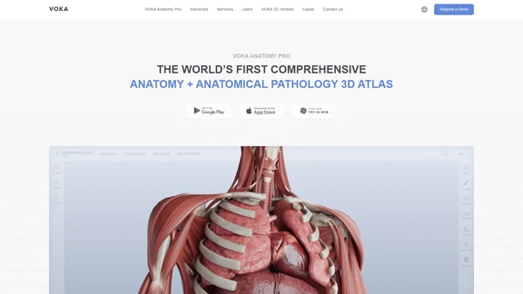 VOKA Anatomy Pro